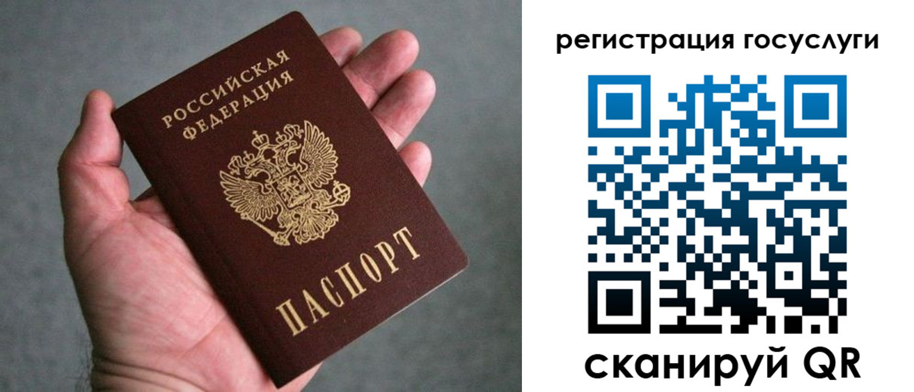 прописка поиск в Тихвине